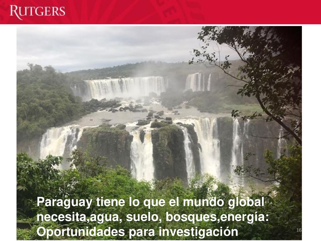 Paraguay tiene lo que el mundo global necesita,agua, suelo, bosques,energía: Oportunidades para investigación