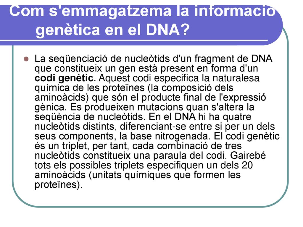 Com s emmagatzema la informació genètica en el DNA