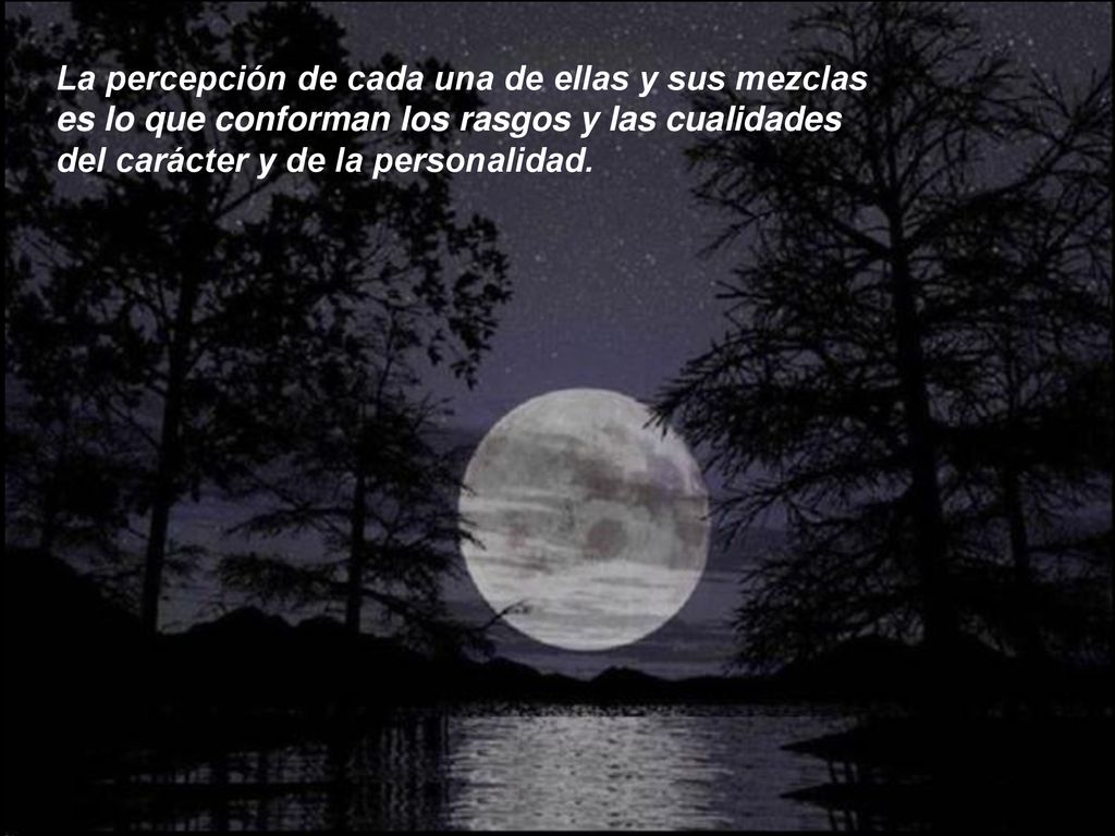 La percepción de cada una de ellas y sus mezclas es lo que conforman los rasgos y las cualidades del carácter y de la personalidad.