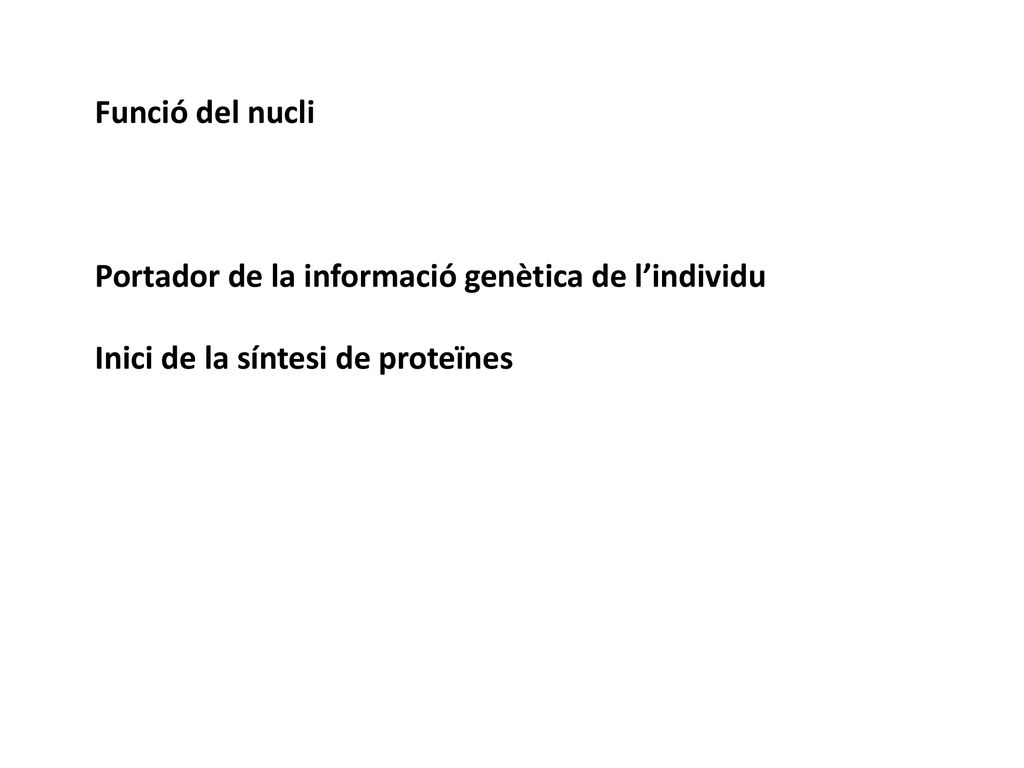 Funció del nucli Portador de la informació genètica de l’individu Inici de la síntesi de proteïnes