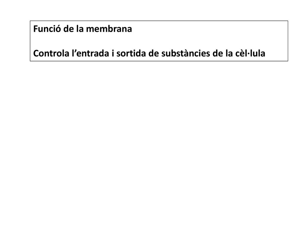 Funció de la membrana Controla l’entrada i sortida de substàncies de la cèl·lula