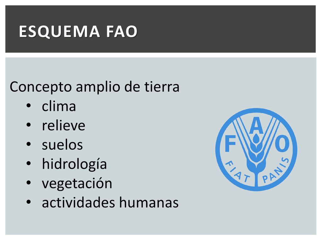 ESQUEMA FAO Concepto amplio de tierra clima relieve suelos hidrología