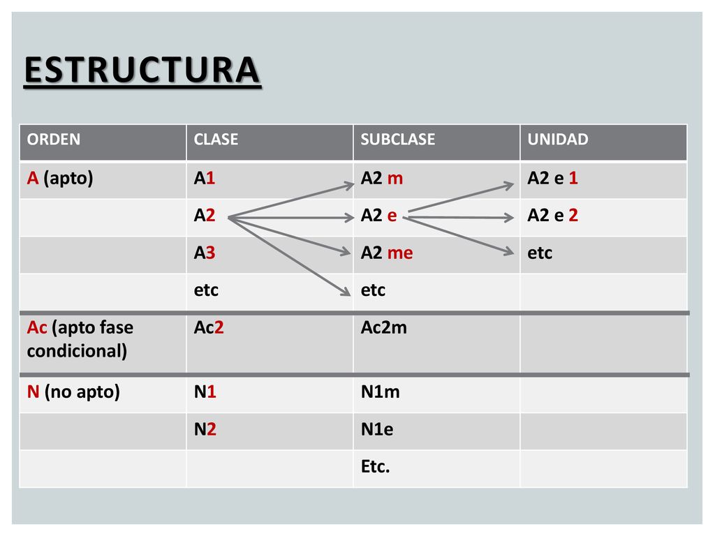 Estructura A (apto) A1 A2 m A2 e 1 A2 A2 e A2 e 2 A3 A2 me etc