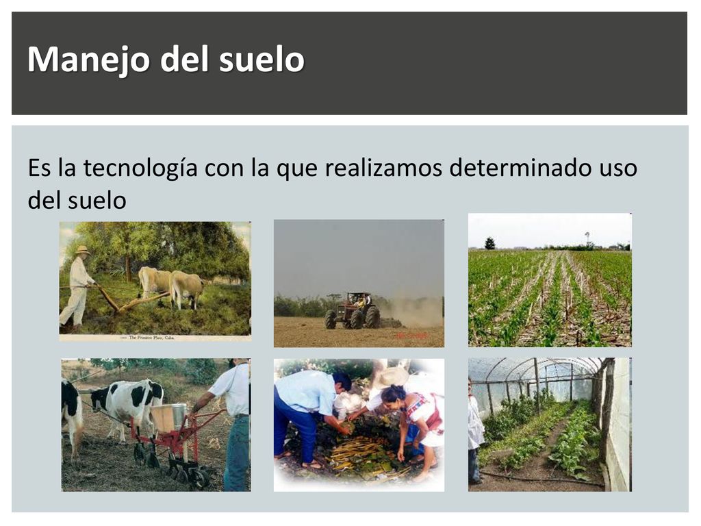 Manejo del suelo Es la tecnología con la que realizamos determinado uso del suelo