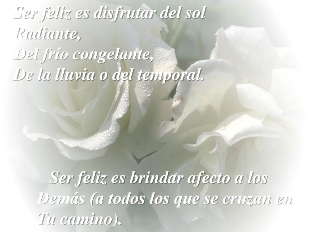 Ser feliz es disfrutar del sol Radiante, Del frío congelante, De la lluvia o del temporal.