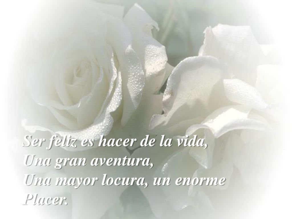 Ser feliz es hacer de la vida, Una gran aventura, Una mayor locura, un enorme Placer.