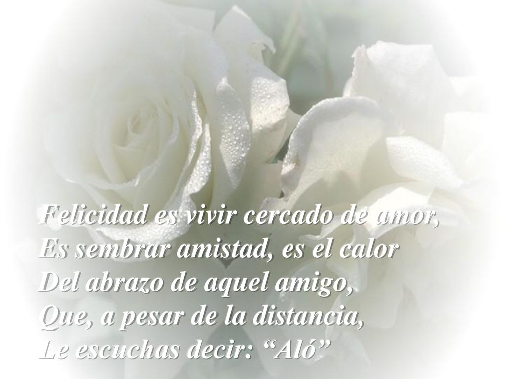 Felicidad es vivir cercado de amor, Es sembrar amistad, es el calor Del abrazo de aquel amigo, Que, a pesar de la distancia, Le escuchas decir: Aló