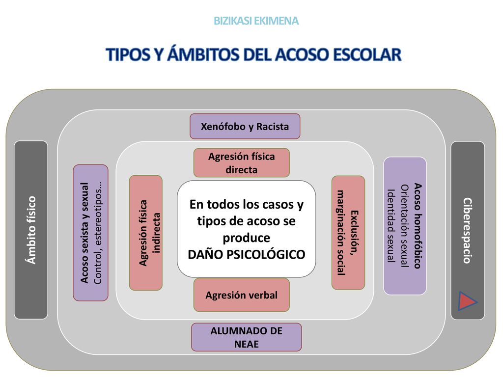 TIPOS Y ÁMBITOS DEL ACOSO ESCOLAR