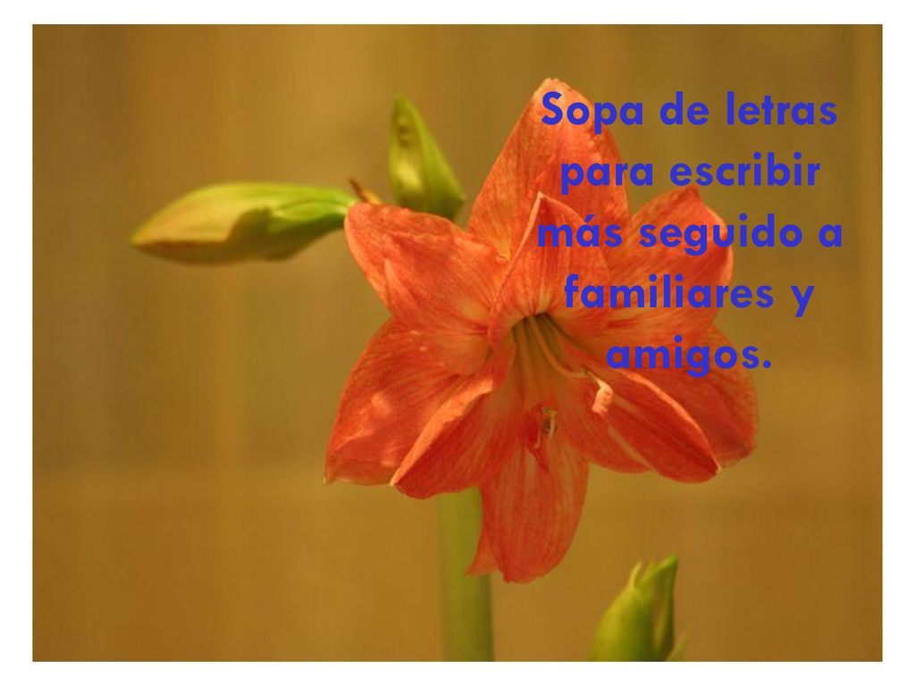 Sopa de letras para escribir más seguido a familiares y amigos.