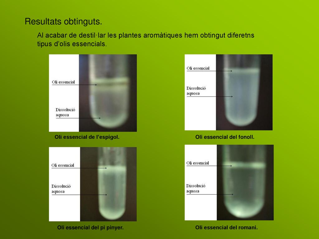 Resultats obtinguts. Al acabar de destil·lar les plantes aromàtiques hem obtingut diferetns tipus d’olis essencials.
