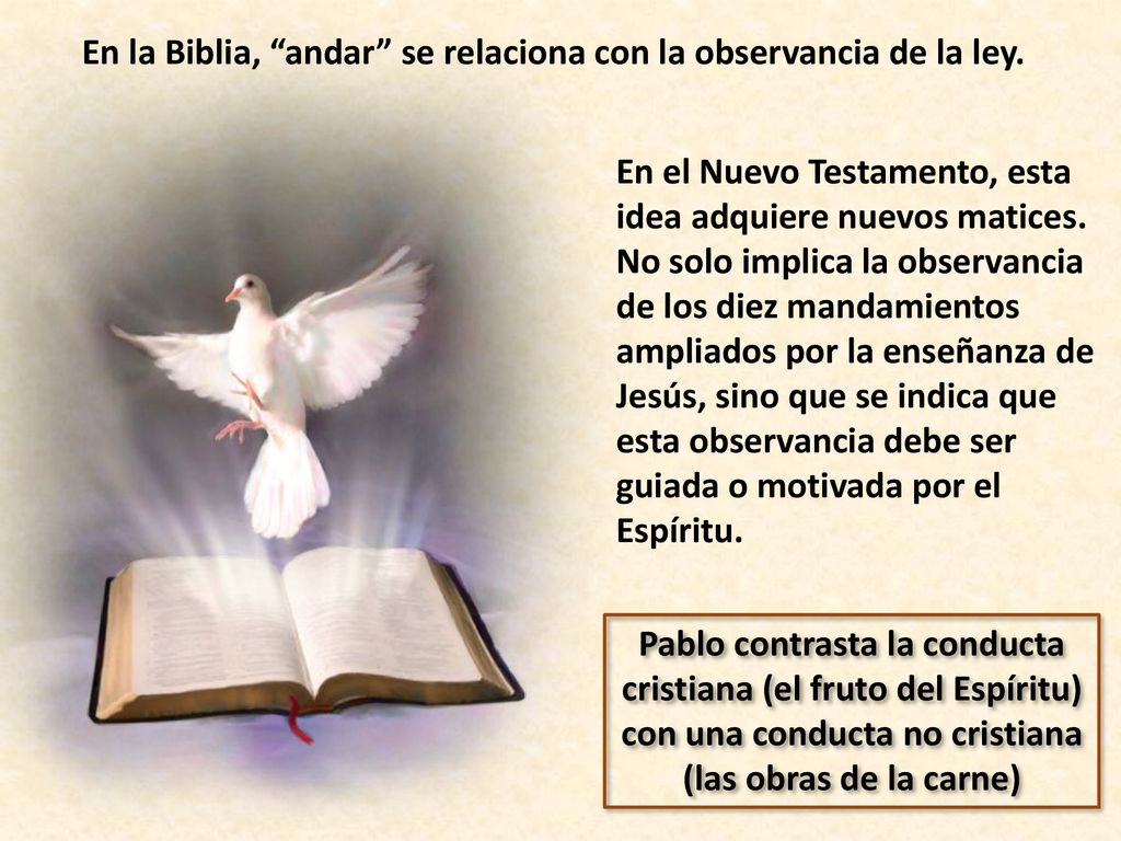 En la Biblia, andar se relaciona con la observancia de la ley.