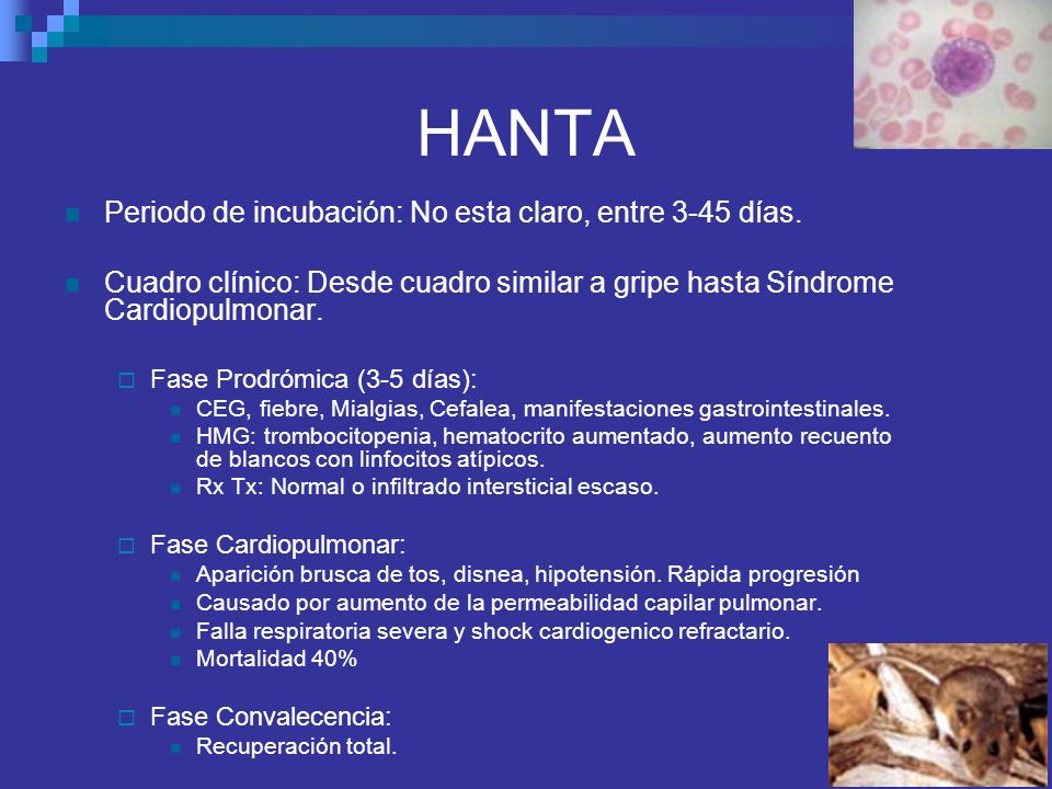 HANTA Periodo de incubación: No esta claro, entre 3-45 días.