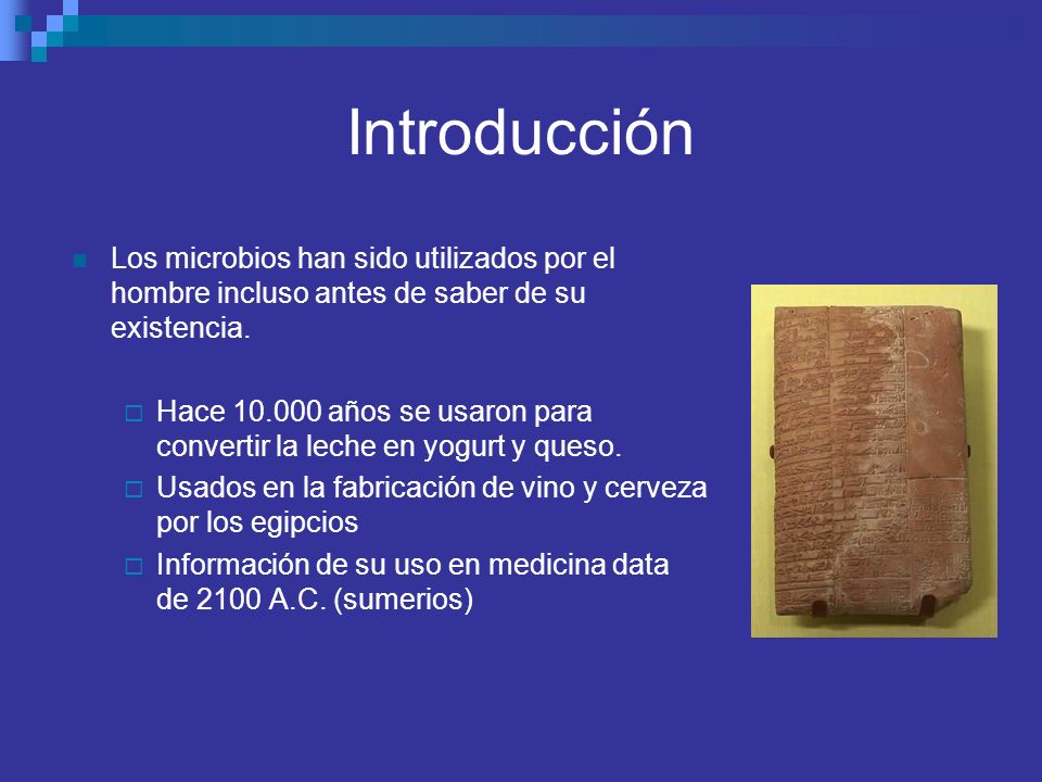 Introducción Los microbios han sido utilizados por el hombre incluso antes de saber de su existencia.