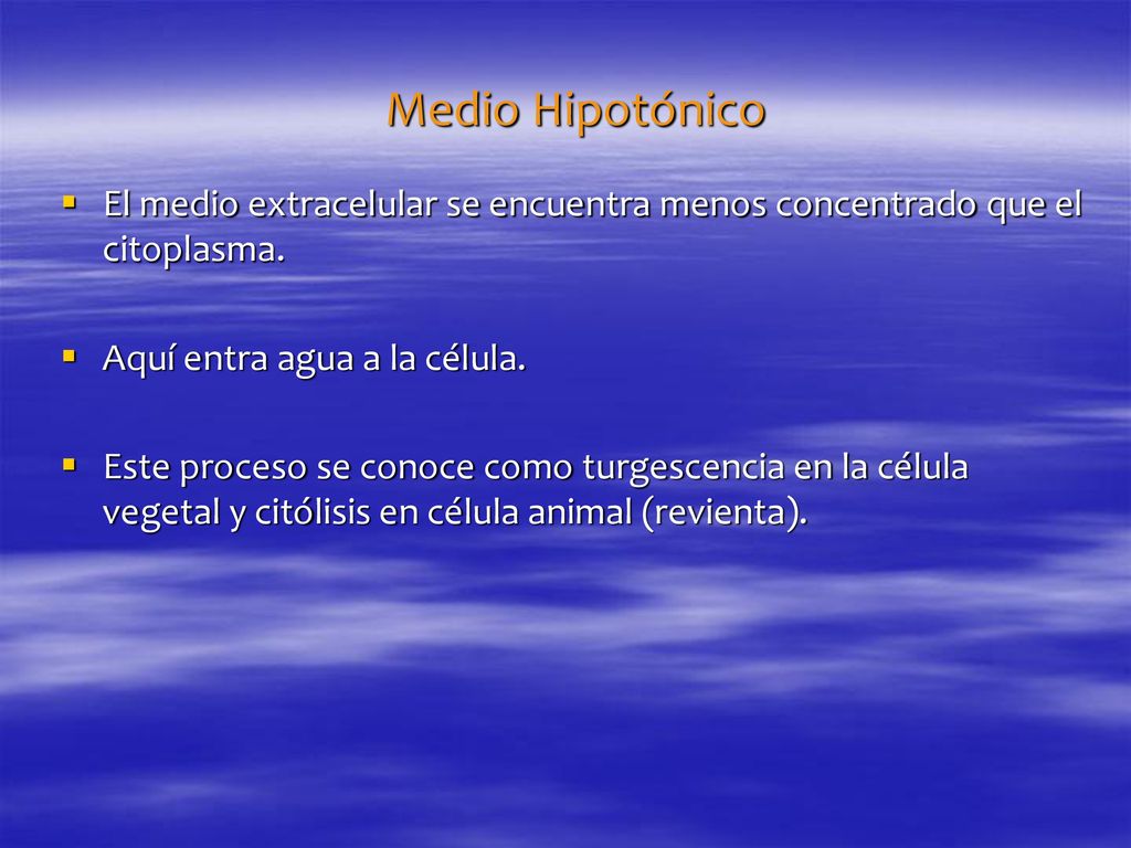 Medio Hipotónico El medio extracelular se encuentra menos concentrado que el citoplasma. Aquí entra agua a la célula.