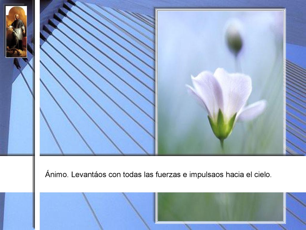 Ánimo. Levantáos con todas las fuerzas e impulsaos hacia el cielo.