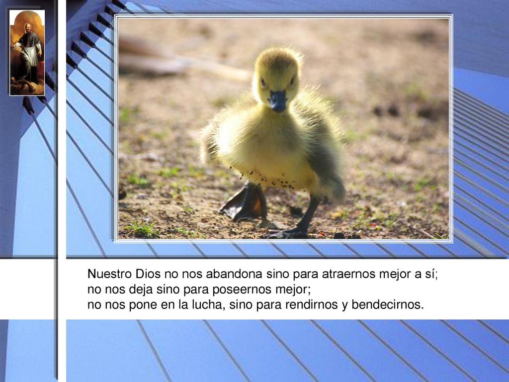 Nuestro Dios no nos abandona sino para atraernos mejor a sí; no nos deja sino para poseernos mejor; no nos pone en la lucha, sino para rendirnos y bendecirnos.