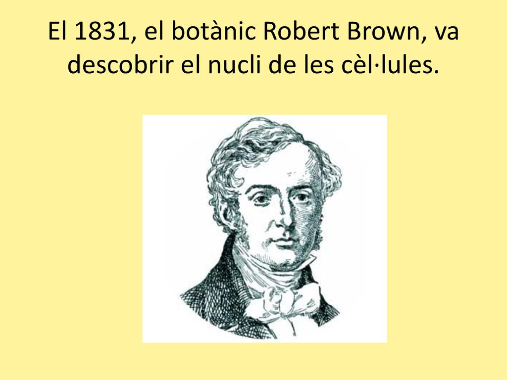 El 1831, el botànic Robert Brown, va descobrir el nucli de les cèl·lules.