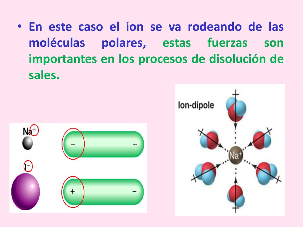 En este caso el ion se va rodeando de las moléculas polares, estas fuerzas son importantes en los procesos de disolución de sales.