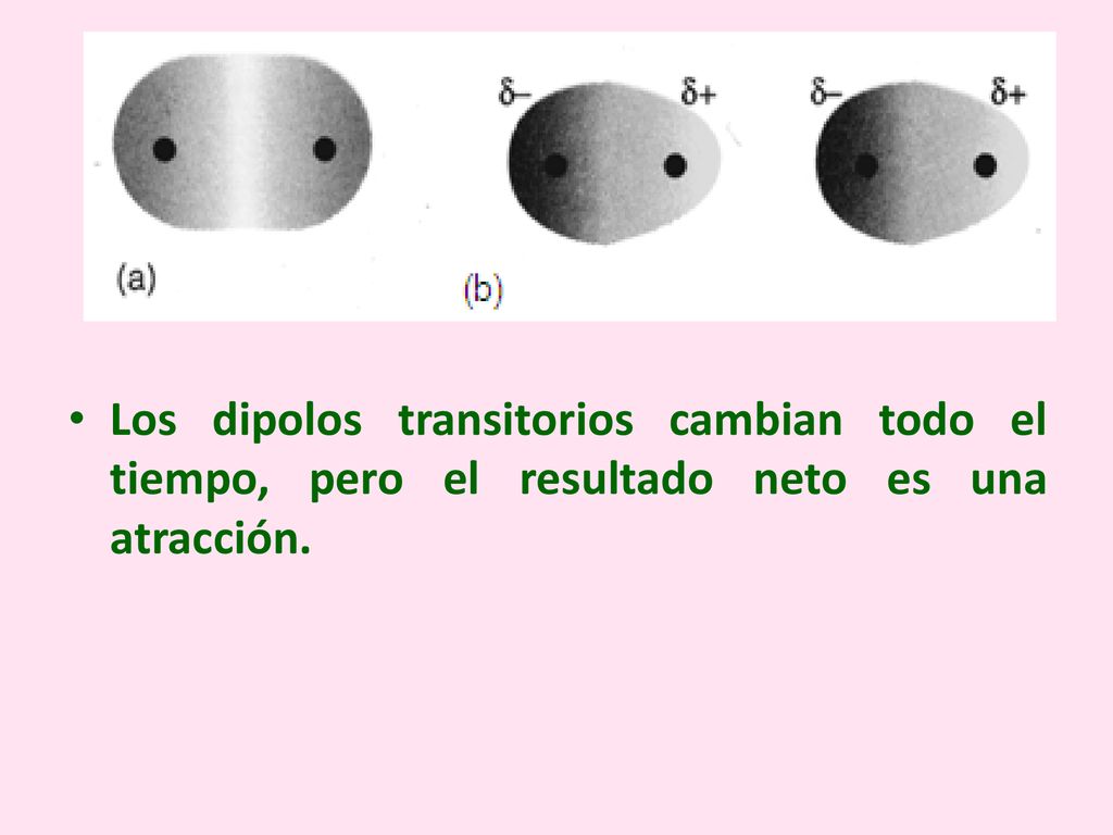 Los dipolos transitorios cambian todo el tiempo, pero el resultado neto es una atracción.