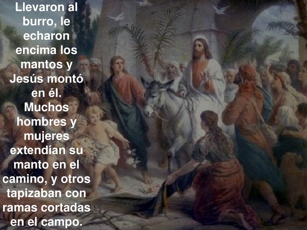Llevaron al burro, le echaron encima los mantos y Jesús montó en él.