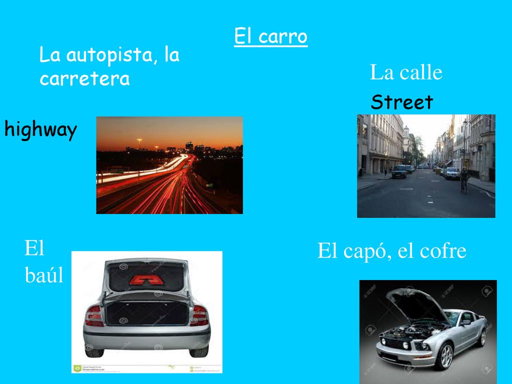 La calle El baúl El capó, el cofre El carro La autopista, la carretera
