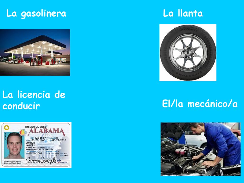 La gasolinera La llanta La licencia de conducir El/la mecánico/a