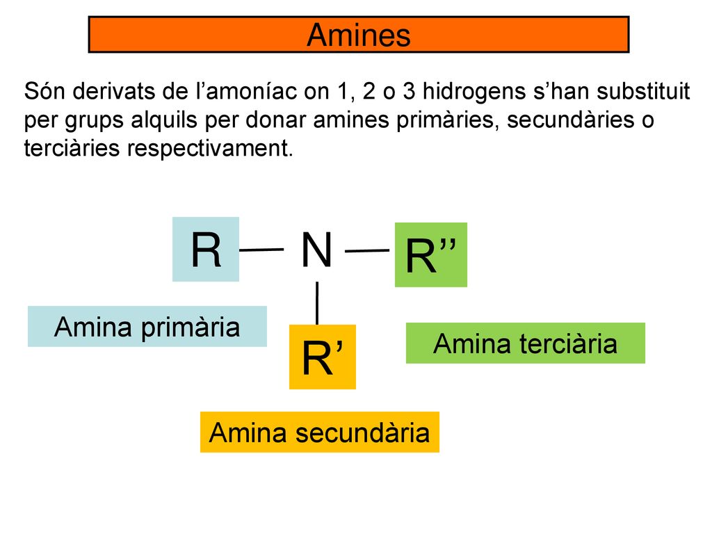 H R N R’’ H H R’ Amines Amina primària Amina terciària