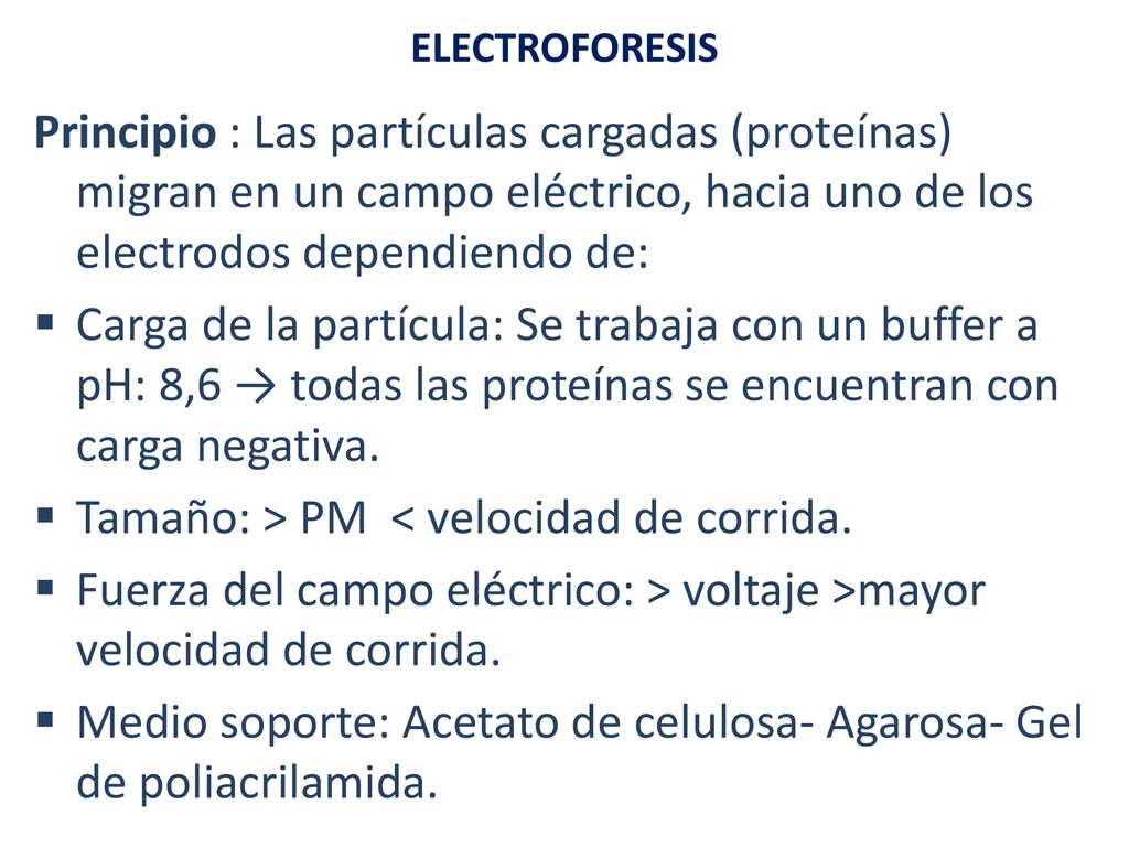 Tamaño: > PM < velocidad de corrida.