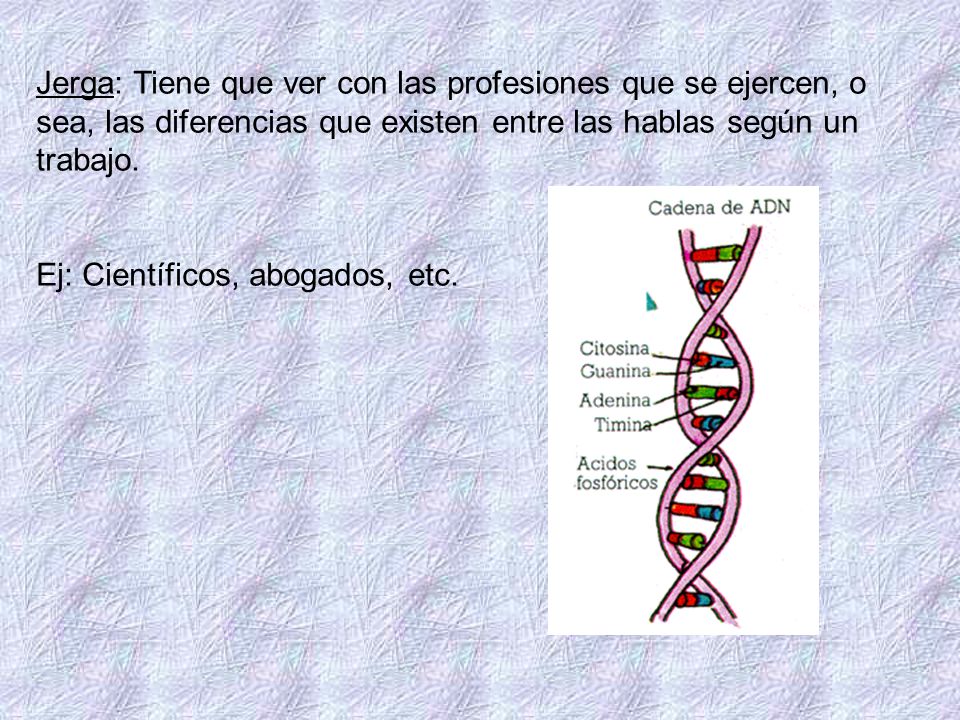 Jerga: Tiene que ver con las profesiones que se ejercen, o sea, las diferencias que existen entre las hablas según un trabajo.