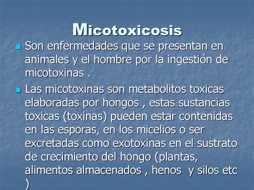 Micotoxicosis Son enfermedades que se presentan en animales y el hombre por la ingestión de micotoxinas .