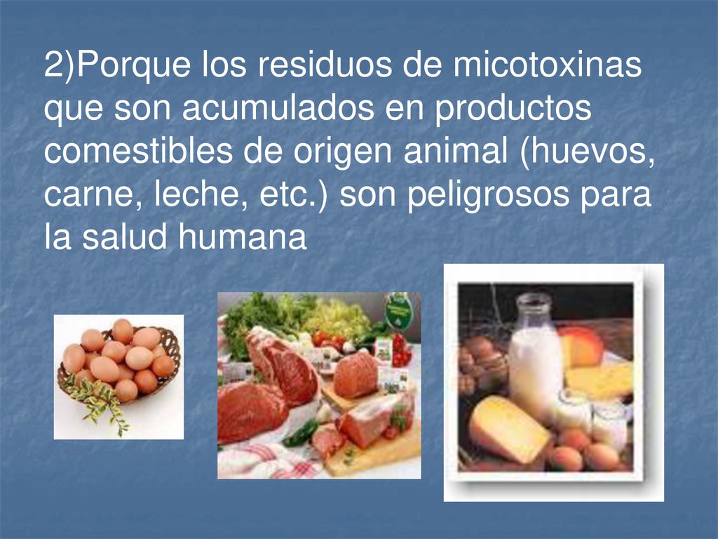 2)Porque los residuos de micotoxinas que son acumulados en productos comestibles de origen animal (huevos, carne, leche, etc.) son peligrosos para la salud humana