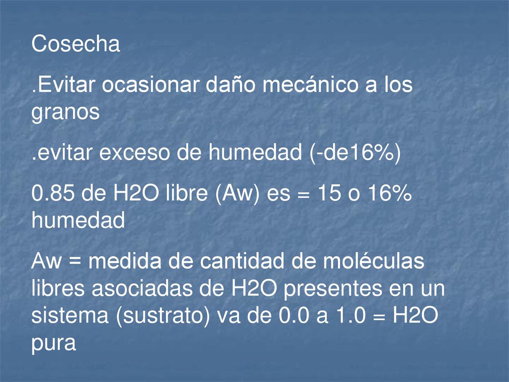 Cosecha .Evitar ocasionar daño mecánico a los granos. .evitar exceso de humedad (-de16%) 0.85 de H2O libre (Aw) es = 15 o 16% humedad.