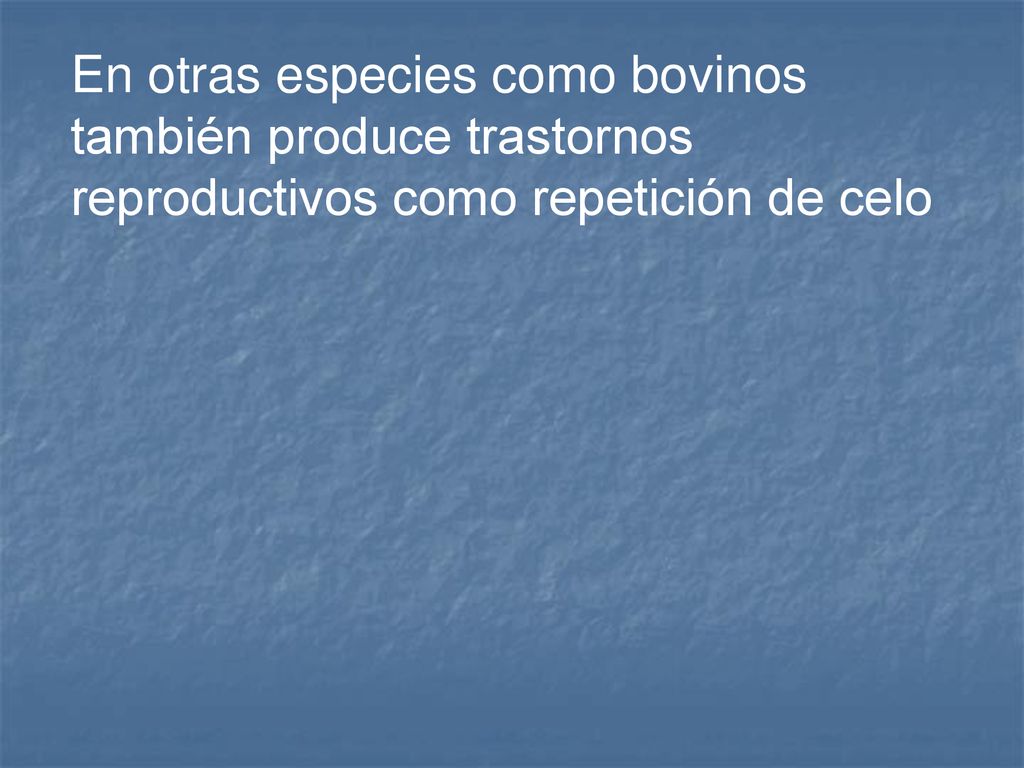 En otras especies como bovinos también produce trastornos reproductivos como repetición de celo