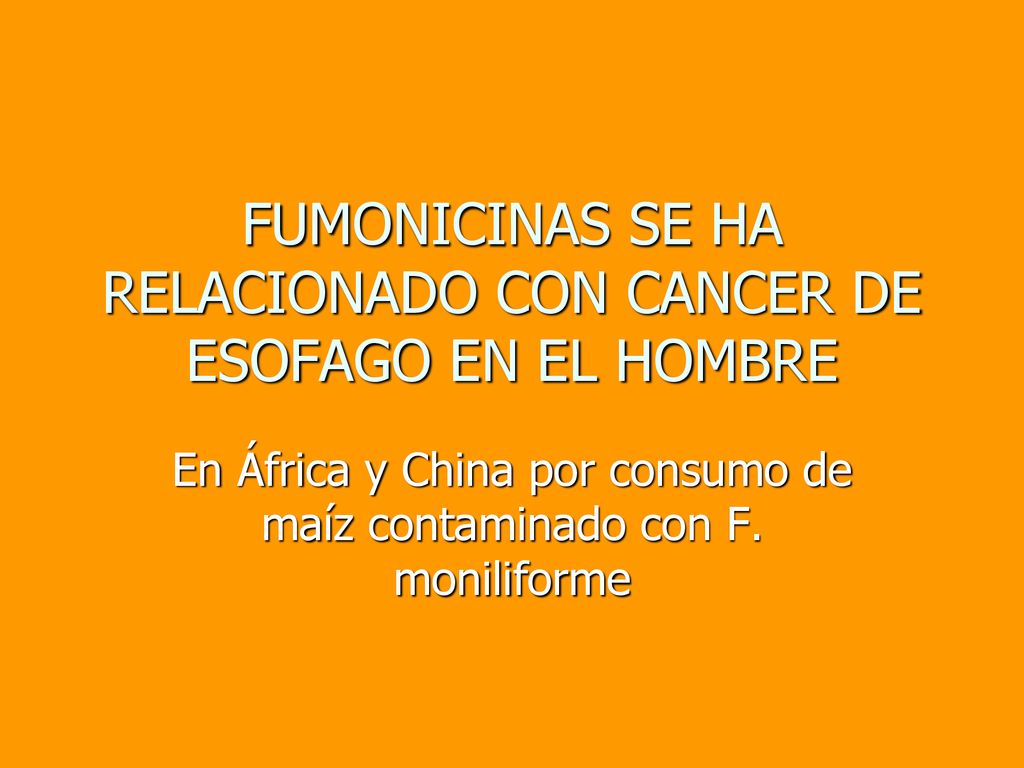 FUMONICINAS SE HA RELACIONADO CON CANCER DE ESOFAGO EN EL HOMBRE