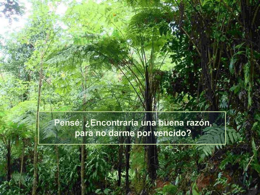Pensé: ¿Encontraría una buena razón, para no darme por vencido