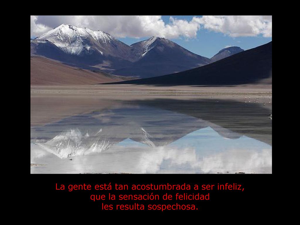 La gente está tan acostumbrada a ser infeliz, que la sensación de felicidad les resulta sospechosa.