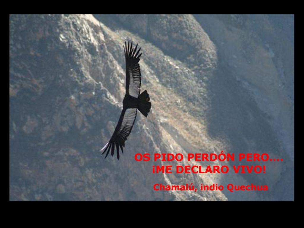 OS PIDO PERDÓN PERO…. ¡ME DECLARO VIVO! Chamalú, indio Quechua