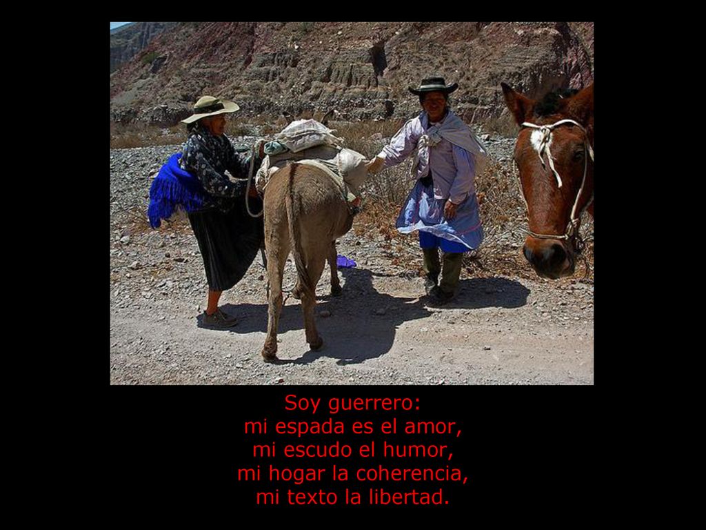 Soy guerrero: mi espada es el amor, mi escudo el humor, mi hogar la coherencia, mi texto la libertad.