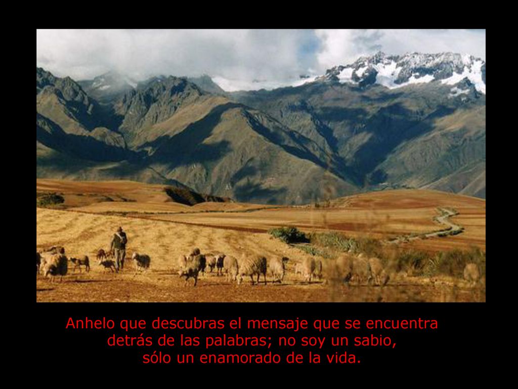 Anhelo que descubras el mensaje que se encuentra detrás de las palabras; no soy un sabio, sólo un enamorado de la vida.