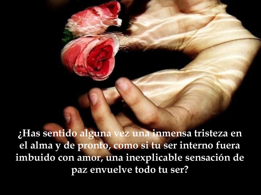 ¿Has sentido alguna vez una inmensa tristeza en el alma y de pronto, como si tu ser interno fuera imbuido con amor, una inexplicable sensación de paz envuelve todo tu ser