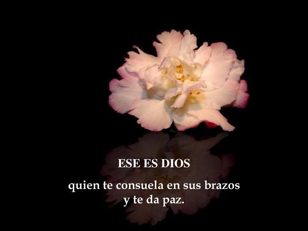quien te consuela en sus brazos y te da paz.