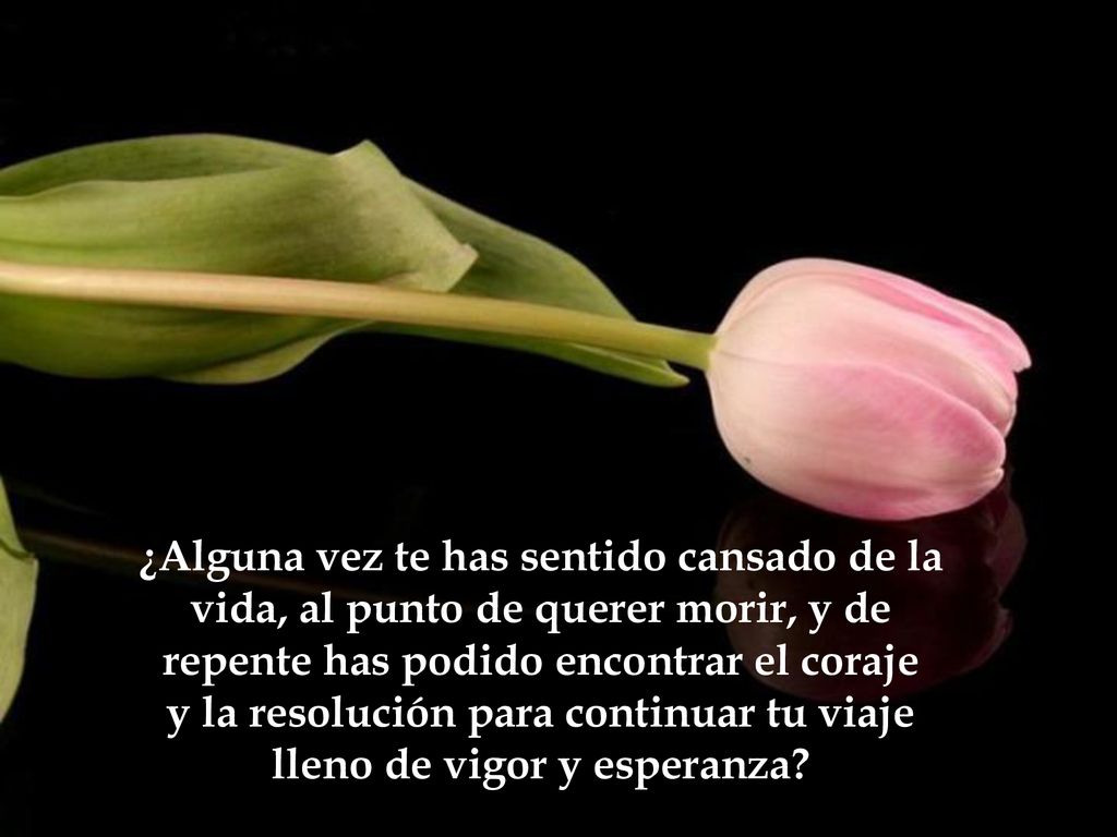 ¿Alguna vez te has sentido cansado de la vida, al punto de querer morir, y de repente has podido encontrar el coraje y la resolución para continuar tu viaje lleno de vigor y esperanza