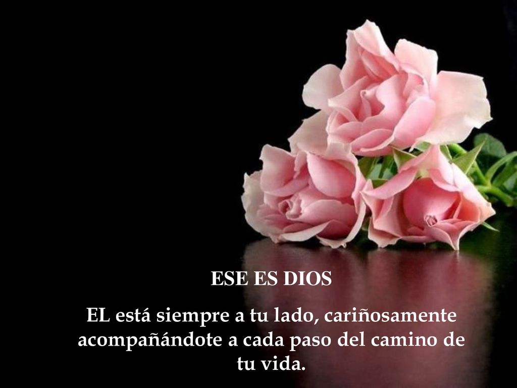ESE ES DIOS EL está siempre a tu lado, cariñosamente acompañándote a cada paso del camino de tu vida.