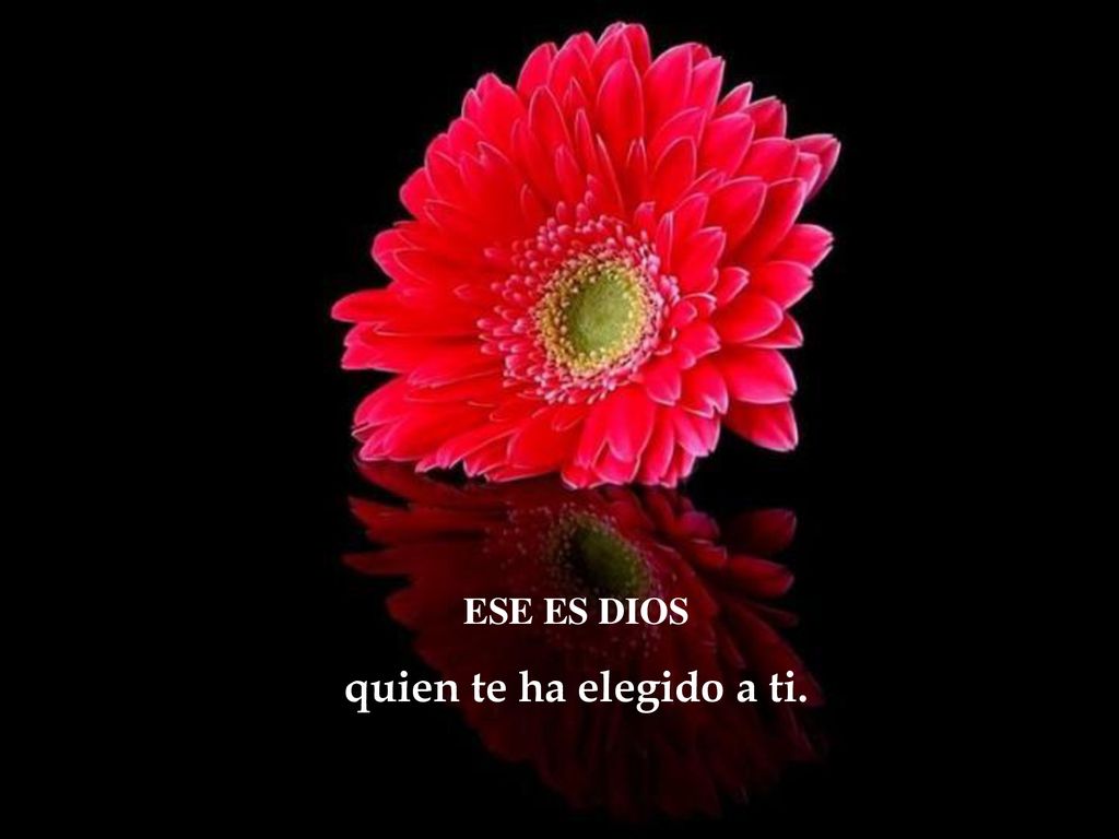 ESE ES DIOS quien te ha elegido a ti. 5