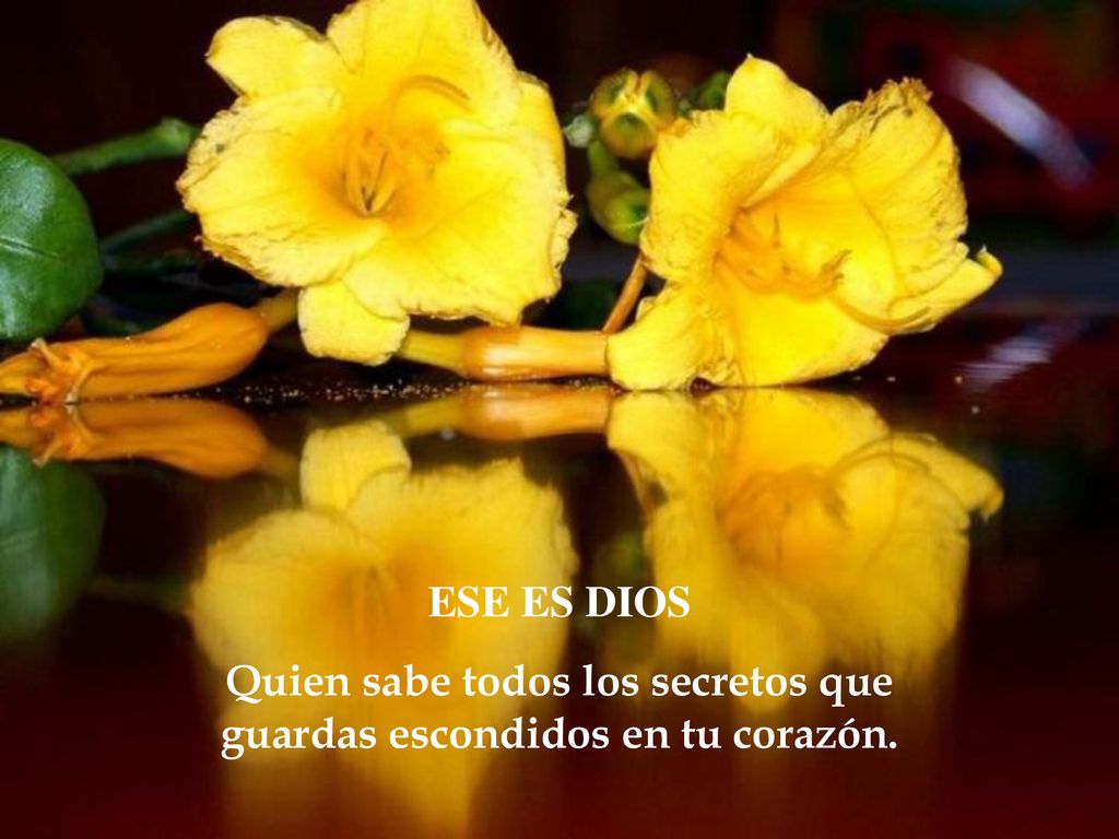Quien sabe todos los secretos que guardas escondidos en tu corazón.