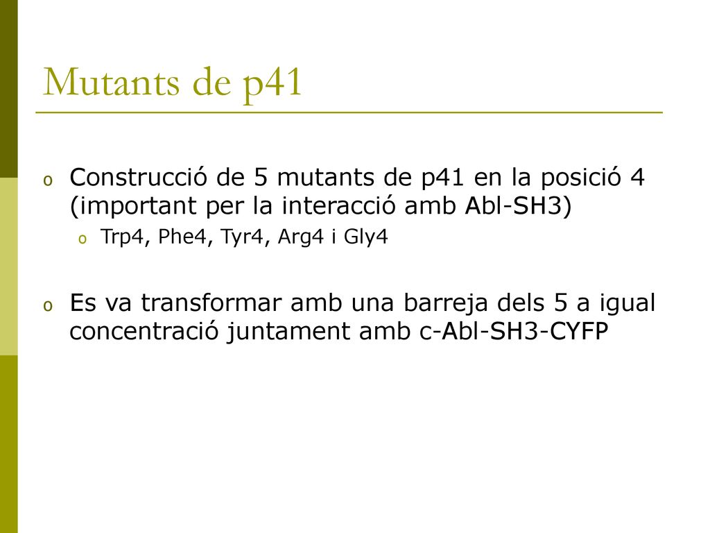 Mutants de p41 Construcció de 5 mutants de p41 en la posició 4 (important per la interacció amb Abl-SH3)
