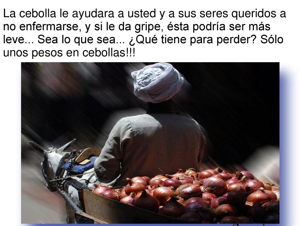 La cebolla le ayudara a usted y a sus seres queridos a no enfermarse, y si le da gripe, ésta podría ser más leve...