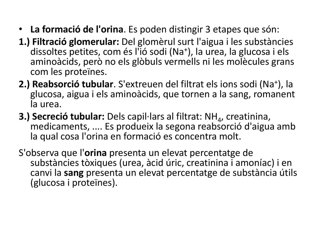 La formació de l orina. Es poden distingir 3 etapes que són: