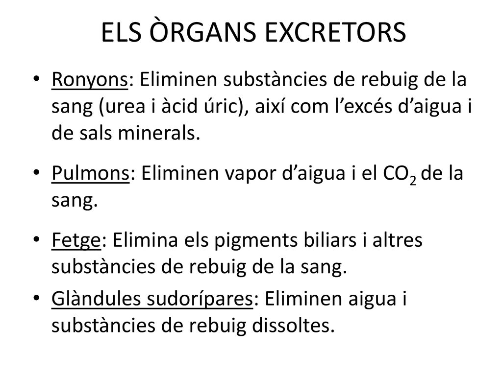 ELS ÒRGANS EXCRETORS Ronyons: Eliminen substàncies de rebuig de la sang (urea i àcid úric), així com l’excés d’aigua i de sals minerals.