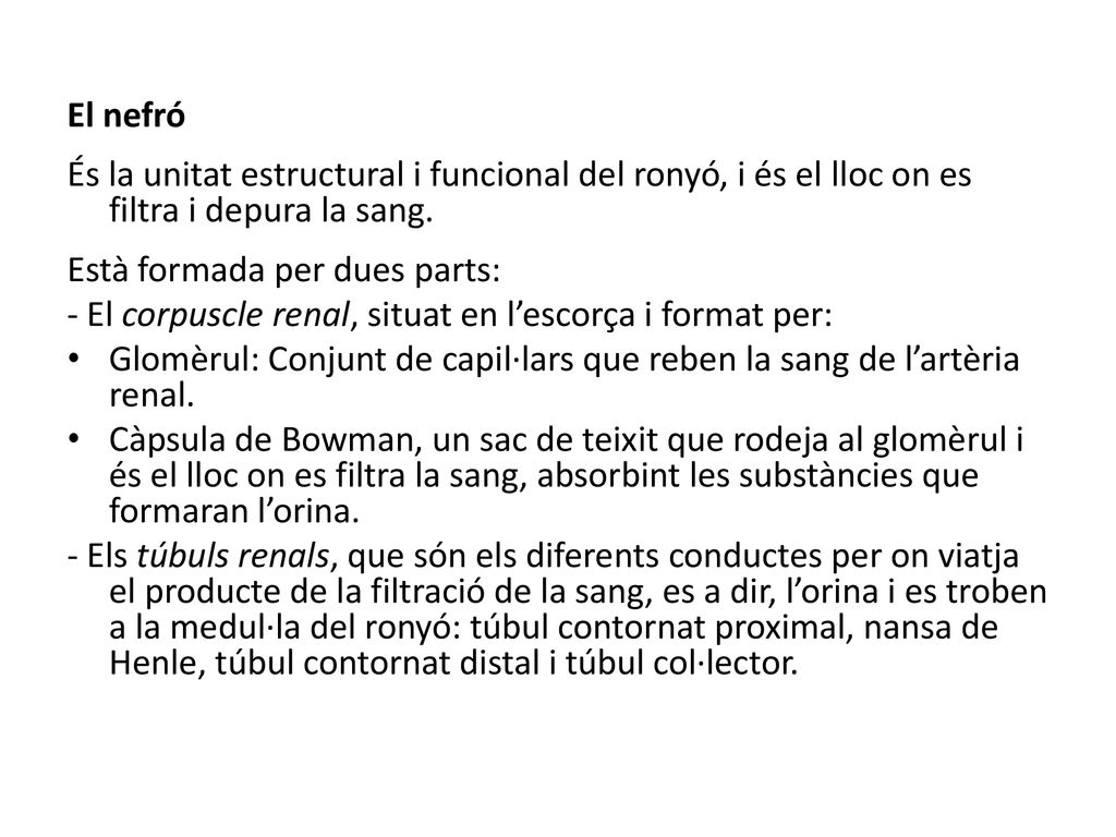 El nefró És la unitat estructural i funcional del ronyó, i és el lloc on es filtra i depura la sang.